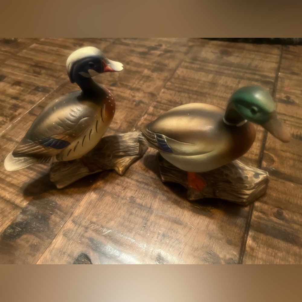 Pair of ducks.